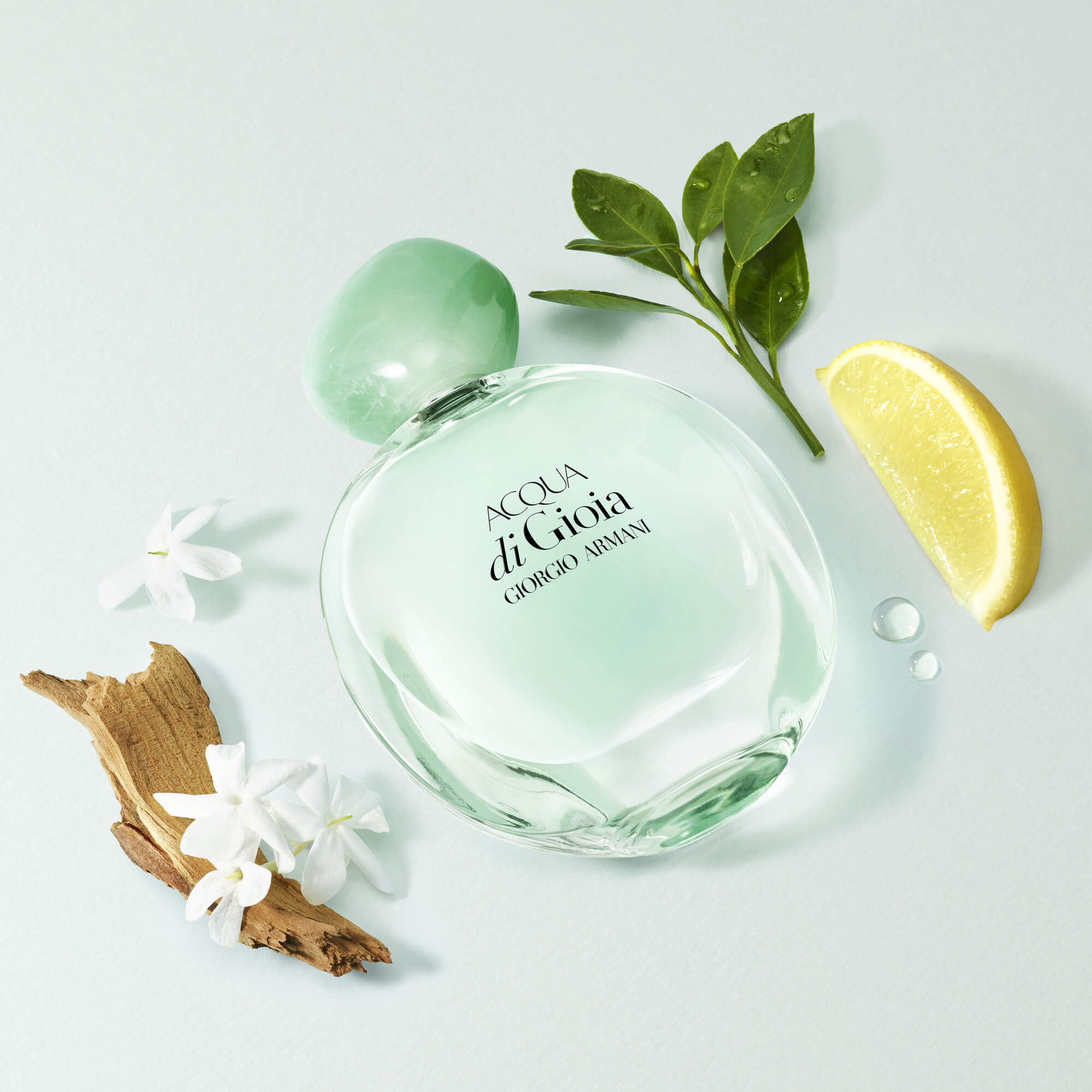 Perrfume-acqua-di-gioia-marca-giorgio-armani-perfumarcas Perfume-Acqua-Di-Gioia-replicas